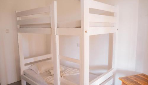 Bed in 4-Bed Dormitory Room