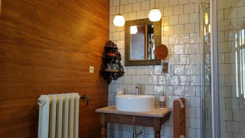 Deluxe Double or Twin Room with City View