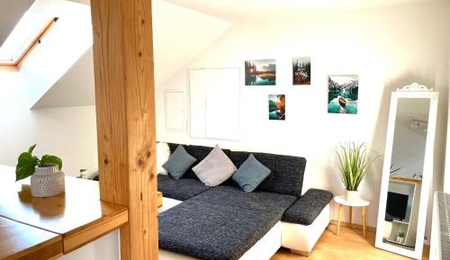 Superior One-Bedroom Apartment with Balcony