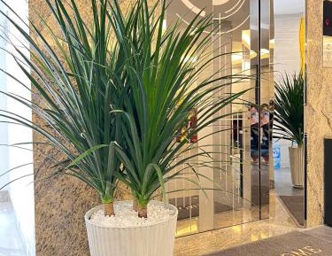 Superior Double or Twin Room with City View