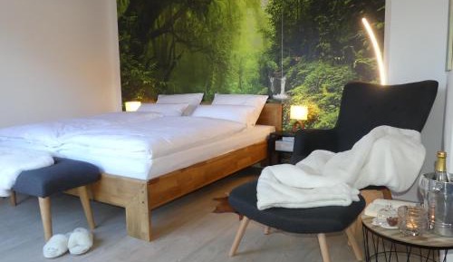 Deluxe One-Bedroom Apartment with Garden View