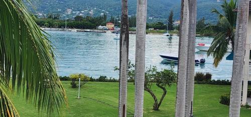 Three-Bedroom Apartment - Oceanfront