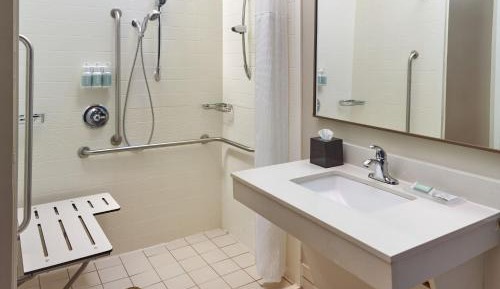 King Studio with Sofa Bed and Roll-in Shower - Mobility and Hearing Accessible