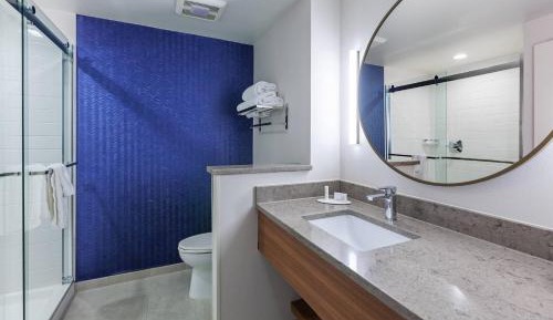 Executive Suite, 1 King, Sofa bed