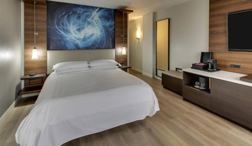 King Guest Room