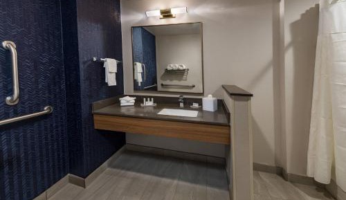 Suite, 1 King, Sofa bed
