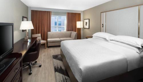 Traditional, Guest room, 1 King