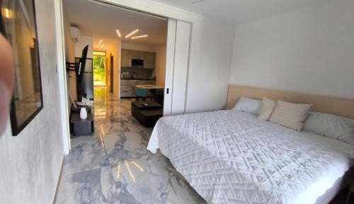 One-Bedroom Deluxe Apartment