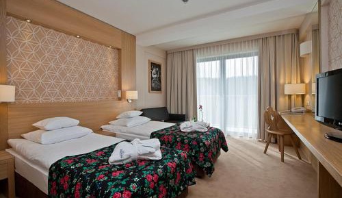 Standard Double or Twin Room with Balcony