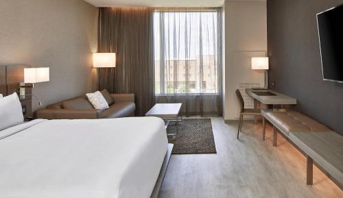 Guest Room with 1 King, Sofa bed