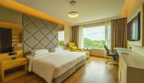 One-Bedroom King Suite