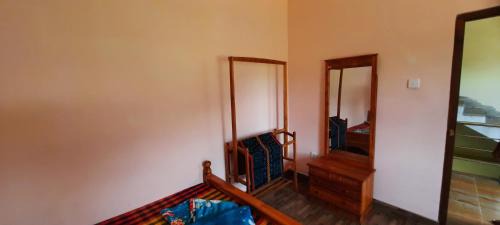 Deluxe Double or Twin Room with Mountain View