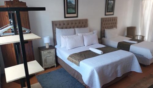 Double or Twin Room