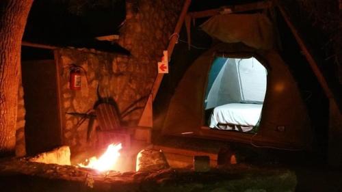 Tent