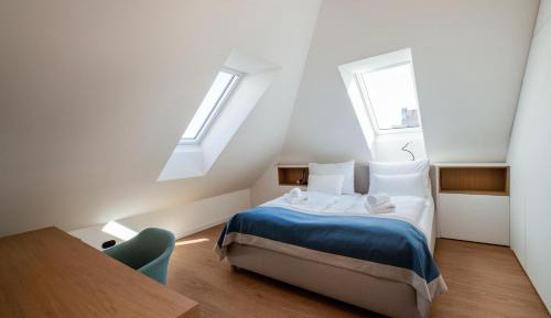 Deluxe One-Bedroom Apartment