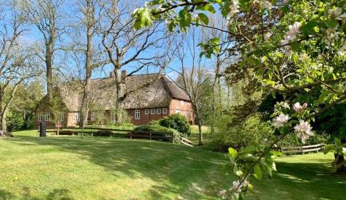 Seven-Bedroom Holiday Home