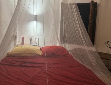 Double Room with Patio