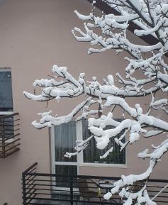 Apartment - Split Level