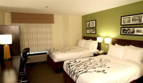 Standard Double Room with Two Double Beds - Non-Smoking