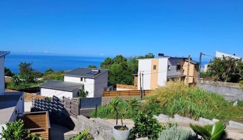 Studio with Garden View