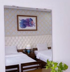 Deluxe Double or Twin Room with City View