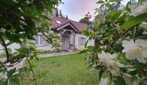 Villa with Garden View