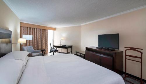 Larger Guest room, 1 King, Partial ocean view
