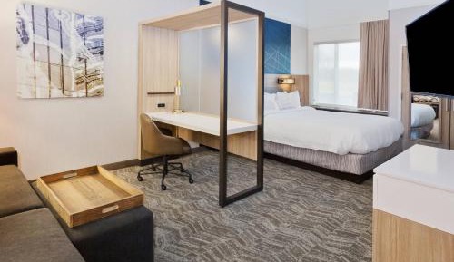 Suite, 1 King, Sofa bed