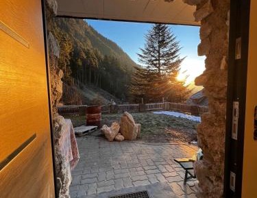 Studio with Garden View