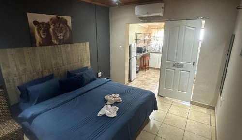 Basic Double Room