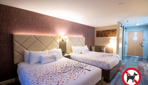 Standard Queen Room with Two Queen Beds on Upper Floor