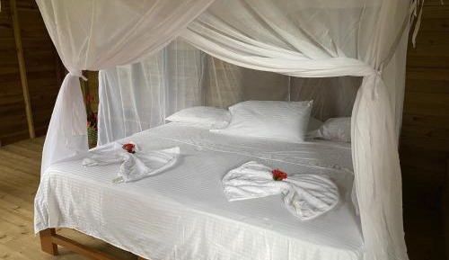 Double or Twin Room with Private Bathroom