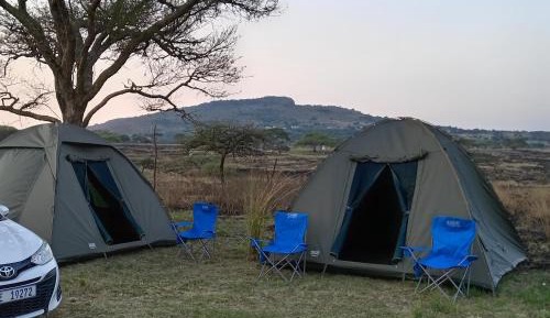 Tent