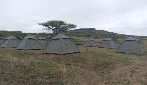 Tent