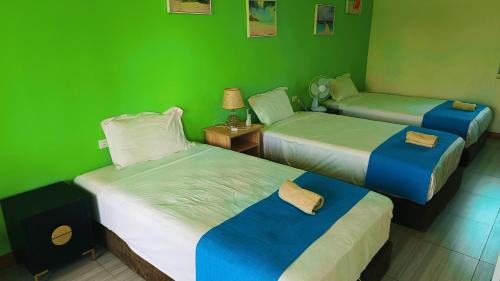 Single Bed in Mixed Dormitory Room