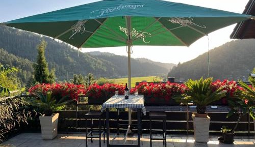 Superior One-Bedroom Apartment with Balcony