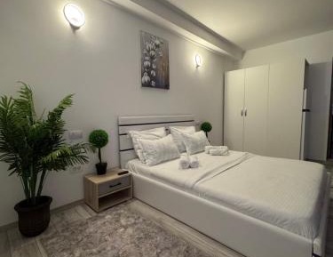 Two-Bedroom Deluxe Apartment