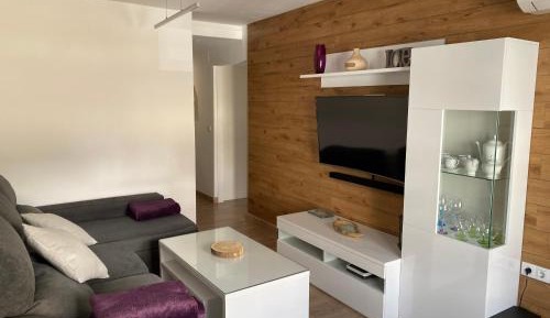 Two-Bedroom Apartment with Mountain View