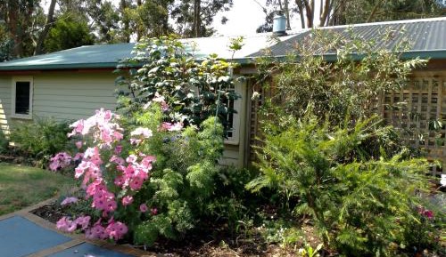 Queen Room with Garden View