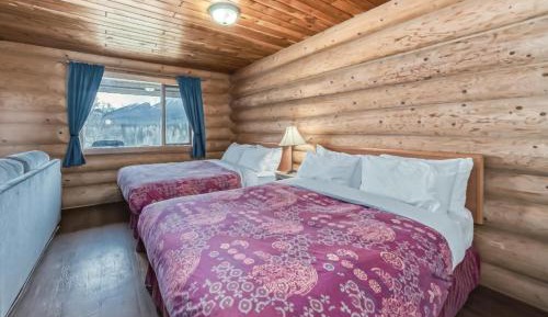 Family Suite Cabin - Pet Friendly and No Kitchen