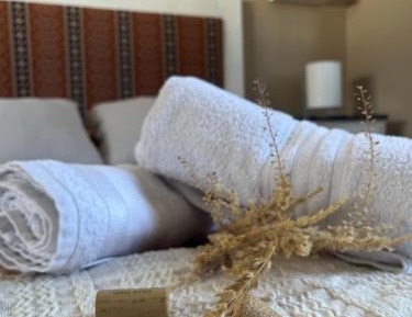 King Studio with Sofa Bed