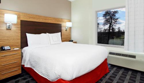 One Bedroom Suite, 1 Queen, Sofa bed