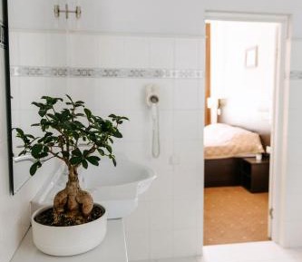 Basic Double Room