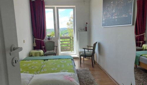 Double Room with Balcony