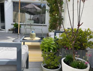 Family Room with Terrace