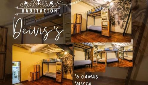 Bed in 6-Bed Mixed Dormitory Room