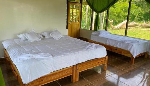 Basic Triple Room