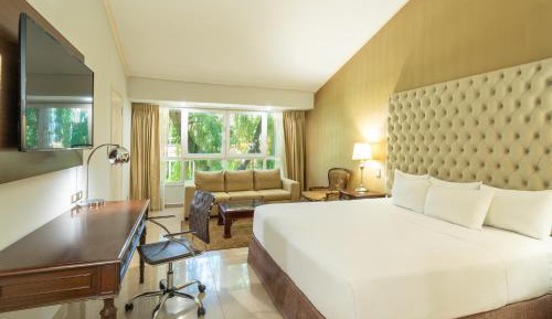 Junior King Suite - Club Lounge Access