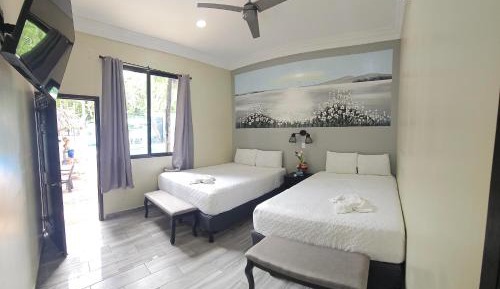 Twin Room with Pool View