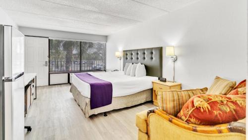 King Room - Non-Smoking